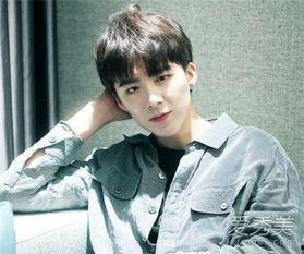 圈内八卦爆料刘宇宁视频,揭秘娱乐圈背后的惊人真相！  第1张