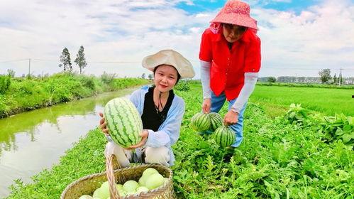 吃瓜高手免费观看全集,免费解锁全集，揭秘娱乐圈幕后真相  第3张