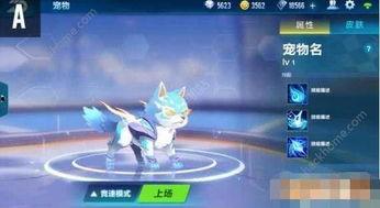 飞车宠物最新爆料,神秘宠物即将亮相,激战一触即发! 第2张 飞车宠物最新爆料,神秘宠物即将亮相,激战一触即发! 第2张